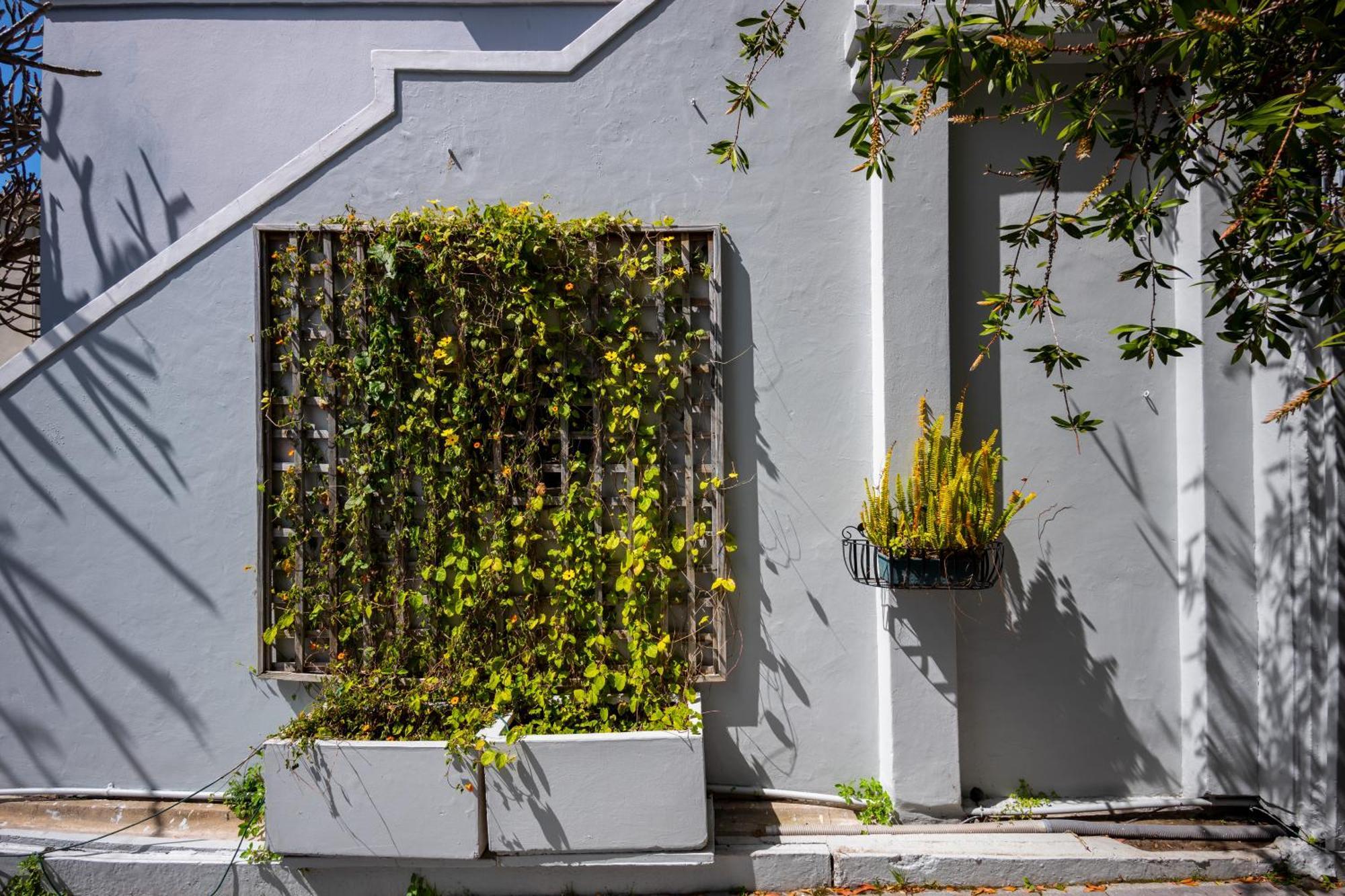 Barry Hall Apartments Cape Town Ngoại thất bức ảnh